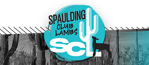 Spaulding Club Lambs